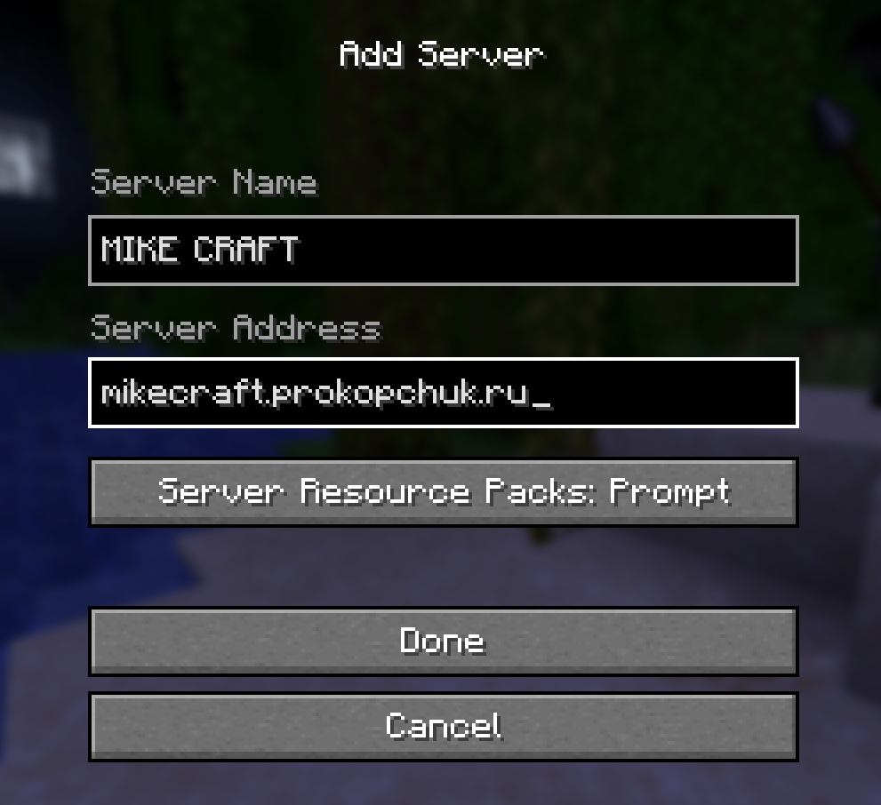 Пример заполнения адреса сервера в Minecraft